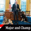 major and champ trading card