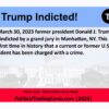 Trump Indicted! - 2023 Political Trading Cards - Image 2