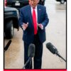 trump indicted trading card