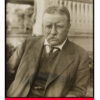 Theodore Roosevelt historical trading card